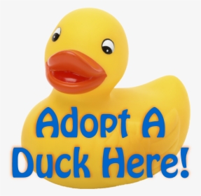Adopt A Duck Here, HD Png Download, Transparent PNG