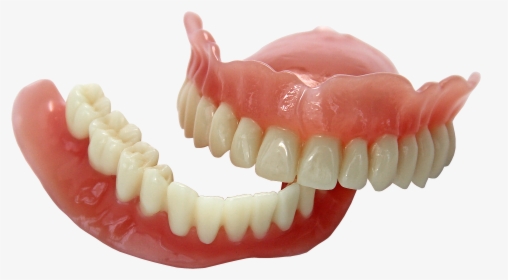 Tooth Vector Png, Transparent Png, Transparent PNG