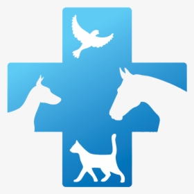 Veterinary Doctor Logo , Transparent Cartoons - Veterinary Doctor Logo, HD Png Download, Transparent PNG
