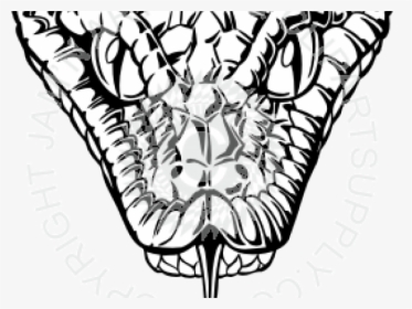 Tongue Clipart Snake Tongue - Snake Head Clipart Transparent, HD Png Download, Transparent PNG