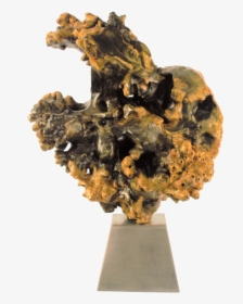 Cranium Nebula Chris Itsell - Museum, HD Png Download, Transparent PNG