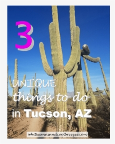 A Saguaro Cactus With Text Overlay 3 Unique Things, HD Png Download, Transparent PNG