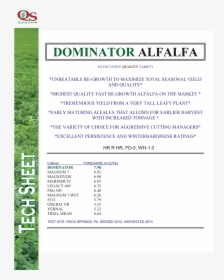 Dominator-alfalfa - Alfalfa, HD Png Download, Transparent PNG