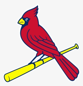 St Louis Cardinals Bird On Bat, HD Png Download, Transparent PNG