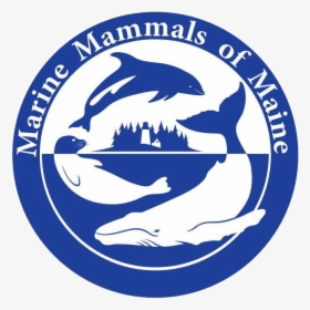 Marine Mammals Of Maine, HD Png Download, Transparent PNG