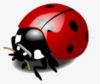 Ladybug Vector, HD Png Download, Transparent PNG