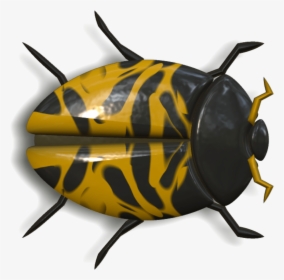Ladybug Orange And Black Head To Right - Besouro Amarelo E Preto, HD Png Download, Transparent PNG