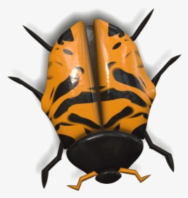 Ladybug Yellow And Black Head Down - Ladybird Beetle, HD Png Download, Transparent PNG