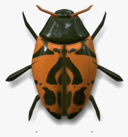 Ladybug Dark Green And Orange - Uğur Böceği Hayvani, HD Png Download, Transparent PNG