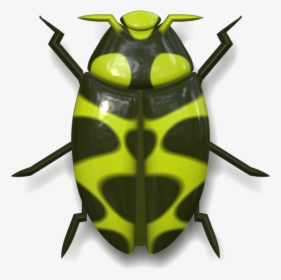 Ladybug Dark Green And Yellow - Mariquita Desde Arriba, HD Png Download, Transparent PNG