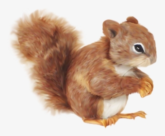 Squirrel Cartoon Clip Art - Color Dibujos De Una Ardilla, HD Png Download, Transparent PNG
