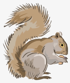 Free Squirrel Clipart, HD Png Download, Transparent PNG