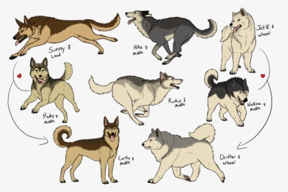 Sledding Drawing Dogsled Transparent Png Clipart Free - Dog Sled Saga Dog Breeds, Png Download, Transparent PNG