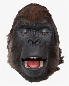 Gorilla Head Png - Gorilla, Transparent Png, Transparent PNG