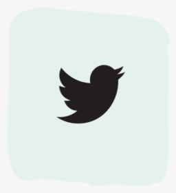 Twitter Social Media Icons Png, Transparent Png, Transparent PNG