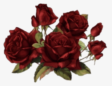 #flores #flowers #rosas #roses #art #arte #painting - Rosas Stickers, HD Png Download, Transparent PNG