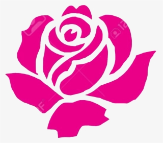 #rose #flower #plant #roseart #remixit #freetoedit - Garden Roses, HD Png Download, Transparent PNG