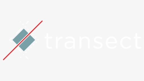 Transect Logo - Calligraphy, HD Png Download, Transparent PNG