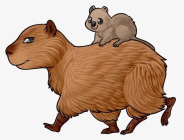 Transparent Quokka Png - Capybara Easy To Draw, Png Download, Transparent PNG