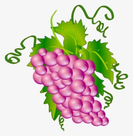 Grapes Clipart Svg - Get Well Soon Card In Japanese, HD Png Download, Transparent PNG