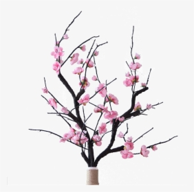 Transparent Peach Flowers Png - Flower Arrangements In Dry Branches, Png Download, Transparent PNG