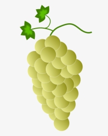 Clipart Yellow Grapes - Purple Grapes, HD Png Download, Transparent PNG
