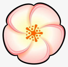 Pink,flower,peach - Peach Color Cartoon, HD Png Download, Transparent PNG