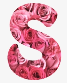 Pink,flower,peach - Rose S Letter Images With Flowers, HD Png Download, Transparent PNG