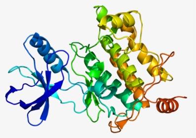 Protein Map3k7 Pdb 2eva, HD Png Download, Transparent PNG