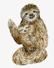 #watercolor #sloth #sloths #baby #mother #father #mothersday - Punxsutawney Phil, HD Png Download, Transparent PNG