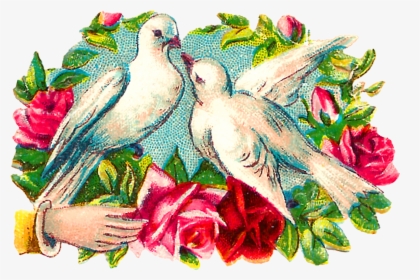 The Colorful Romantic Clipart Images Of Pairs Of Doves - Clip Art, HD Png Download, Transparent PNG