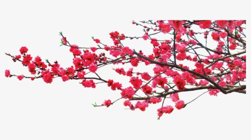 China Dwg Romantic - Chinese Mid Autumn Tree, HD Png Download, Transparent PNG