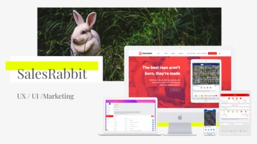 Desktop 4 - Domestic Rabbit, HD Png Download, Transparent PNG