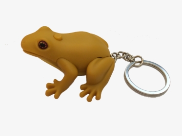 Frog Keychain Puerto Rico, HD Png Download, Transparent PNG