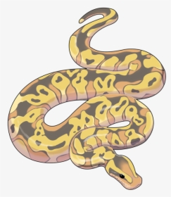 New Ball Python Art  available At Redbubble - Python Snake Art, HD Png Download, Transparent PNG