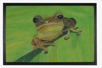 Bronze Frog, HD Png Download, Transparent PNG