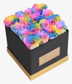Rainbow Rose, HD Png Download, Transparent PNG