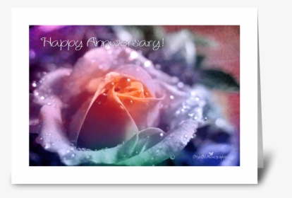 Rainbow Rose Greeting Card - Greeting Card, HD Png Download, Transparent PNG