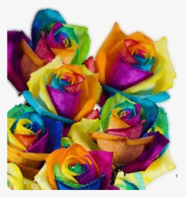 Rainbow Roses For Sale Free Delivery Rainbow Colored - Multi Colored Roses, HD Png Download, Transparent PNG