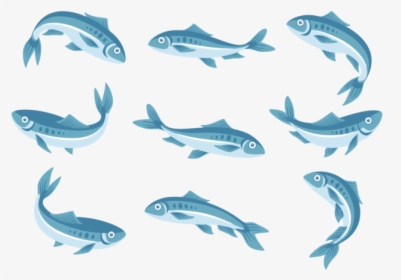 Sardine Icons Vector - Sardines Clipart Png, Transparent Png, Transparent PNG