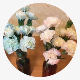 Rainbow Bouquet - Bouquet, HD Png Download, Transparent PNG
