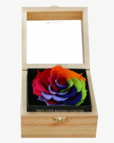 Rainbow Rose, HD Png Download, Transparent PNG