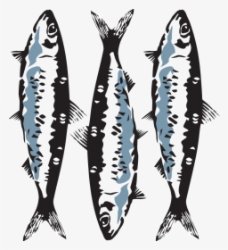 Sardine - Marine Mammal, HD Png Download, Transparent PNG