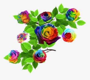 #rose #roses #nature #leaves #rainbow #rainbowflowers - Garden Roses, HD Png Download, Transparent PNG