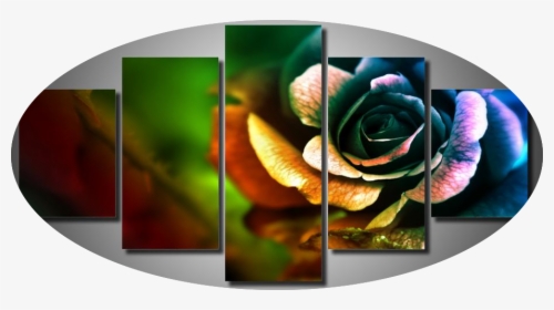 A Deep Colored Rose - Love Most Beautiful Flowers, HD Png Download, Transparent PNG
