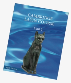 Unit 2 5th Edition Cover - Domestic Short-haired Cat, HD Png Download, Transparent PNG