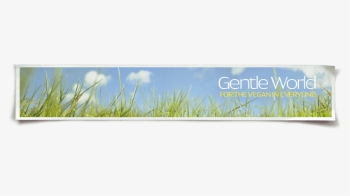 Gentle World Header Image - Grass, HD Png Download, Transparent PNG