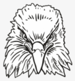 Eagle Head Front View, HD Png Download, Transparent PNG