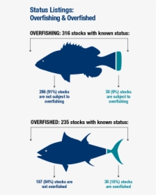 Overfished Stocks, HD Png Download, Transparent PNG