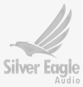 Silver Eagle Audio - Vaux S Swift, HD Png Download, Transparent PNG